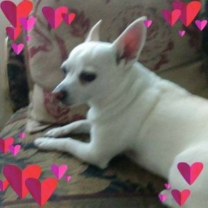 Meet your Posher, Doreen